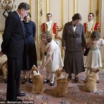 내가 바로 영국 왕실 견 웰시<b>코기</b>다! 두번째 이야기