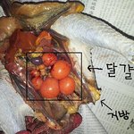 [혐오/신기]달걀이 들어있는 닭 <b>배속</b> 사진
