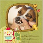 혈액형 사진꾸미기ㅋㅋㅋ