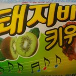 ★★★★지금은 거의 사라진 망한 과자들 모음★★★★
