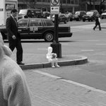 오늘 그냥 당신이 무심코 보는 이야기 [1]