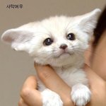 나랑놀아줄 여자만 <b>와라</b>
