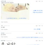 ■□■귤베의 <b>댓글놀이</b> -21-