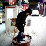 마시마로 탄<b>생기</b>..