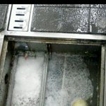 사진有)흔한 예비대학생의 마트 수산물코너 일상놀이 7 반응좋으면...