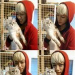 ▶비에이피(<b>b.a.p</b>) 대현, 고양이와 함께 찍은 사진 공개…'미친...