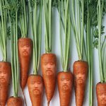 블락비 컴백 자기소개 ※※※※ㅁ66ㅁ