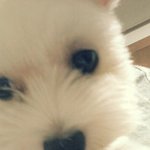 베플약속)사진 有// 똥싸며 토하기란?