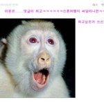 심심한데 댓놀할래?64