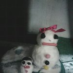 ☆☆☆☆☆언니 오빠들 일단 드러오고 후회해☆☆☆☆☆