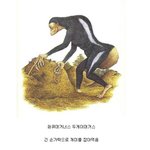 오천만년후의 <b>생물</b> 보는데...