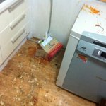 동생이 대신 꿔준 개꿈 (<b>부재</b>: 운수좋은 날)