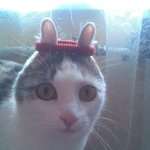 ★★★★★★(동영상有) 흔한 18女들 립싱크놀이★★★★★★