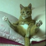 ★★((사진有)) 실오라기도 안걸친 <b>쩍</b><b>벌</b>남 (혐오)★★