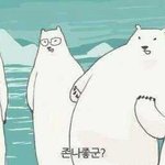 ☆★☆진심 <b>레알</b>  웃긴사진☆★
