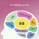 ☆★☆네이트<b>판님</b>의(남&amp;여)뇌구조☆★