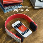 이어폰, 제이<b>버드</b>(jaybird) SB2 매력에 빠져들다