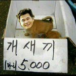 사실분? 이 개<b>xx</b>팔아요!