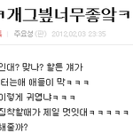 빕인데 님 ★★★ 헐 빕인<b>데님</b> 죄송합니다.