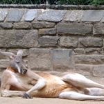 ★구두쇠 사장님의 7가지만행과 불<b>합리</b>함ㅋㅋㅋㅋ