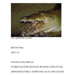 [<b>지</b><b>림</b>주의] 세상에서 제일 무서운 동물들 12종