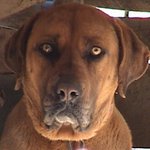 <b>pc</b>방알바하다가 도망가는손님들 !!