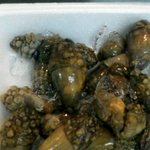 사진有)흔한 예비대학생의 마트 <b>수산물</b>코너 일상놀이 8 반응좋으면...