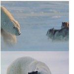 사진))★★<b>종족</b>을 넘어선 사랑★★