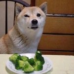 내 얼굴이다 <b>시발</b>