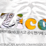 <b>bbc</b>분들! 블락비 지코를 좋아하시는 분들!