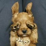 <b>오빠</b>기분..님 <b>글</b>을 읽고..