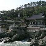 절 좋아하는<b>분만</b> 보세요...