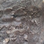 엄빠주의!! 여러분의 상상력을 <b>발휘</b>해주세요