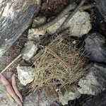 ★☆★흔녀들이 고구마 구워먹은일★☆★