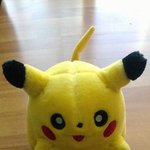 ★피카츄 쌍수시켜준 내동생(사진有)★