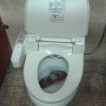 !!!!!!!!!!!!!!!!!!!!!오진다오져 삼단콤보 배꼽조...