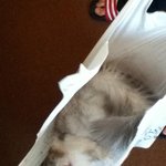 오늘 <b>슈퍼</b>에서