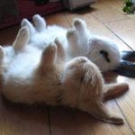 <b>how</b> to win friends and influence people