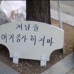★★ <사진有!!!> 얼마나 많이 쌌으면.. ★★