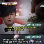 무개념안티들아 비판은이렇게하는거야