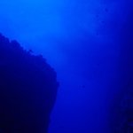 ★☆★<b>심해</b> 공포증 테스트☆★☆