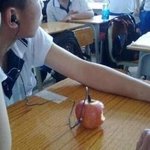 시바<b>새키</b> 얼굴정도면 레전드급인데