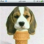 수정♥사진 有미국에유학간오빠의 초딩일기장 ♥