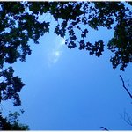 (좋은 글) * 어머니의 마음 *