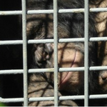 심심할 때 보면 재미있거나......4