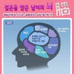 결혼준비 하는 남녀의 뇌<b>구조</b> 공개 1탄 ㅋㅋㅋ