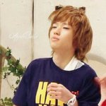 ★★★★<b>니엘</b>은 이사진이 짜세★★★★