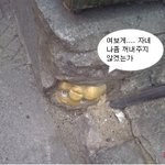 땅 속에 숨겨진 <b>보물</b>
