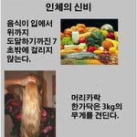 ★★★ <b>인체</b>의신비 ★★★(+사진有)