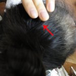 ★★★★사진有) 실핀하나로머리묶는여자★★★★